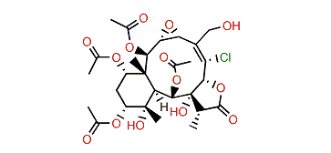 Briarein F